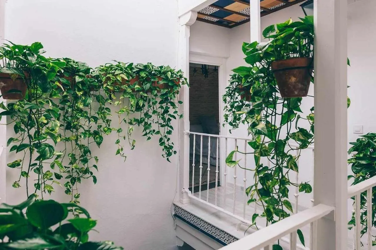 Quarto em Acomodações Particulares Alcázar de María Apartamento Sevilha
