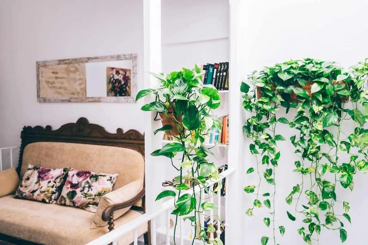 Alcazar De Maria Apartment Seville Homestay